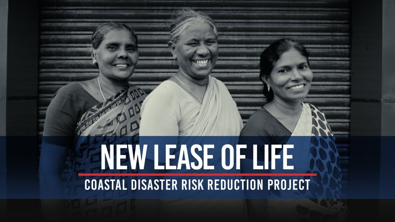 A Fish Kiosk Offers Indian Fishermen’s Widows a Way Out of Poverty