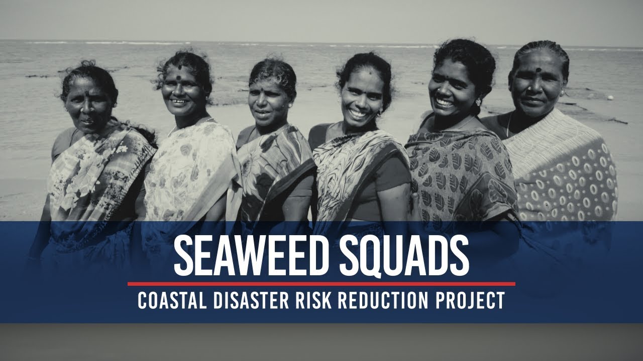 India’s Seaweed Squads Boost Women’s Incomes and Confidence