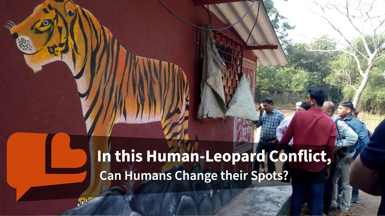 With Titli Trust, A Community Learns to Live with Leopards